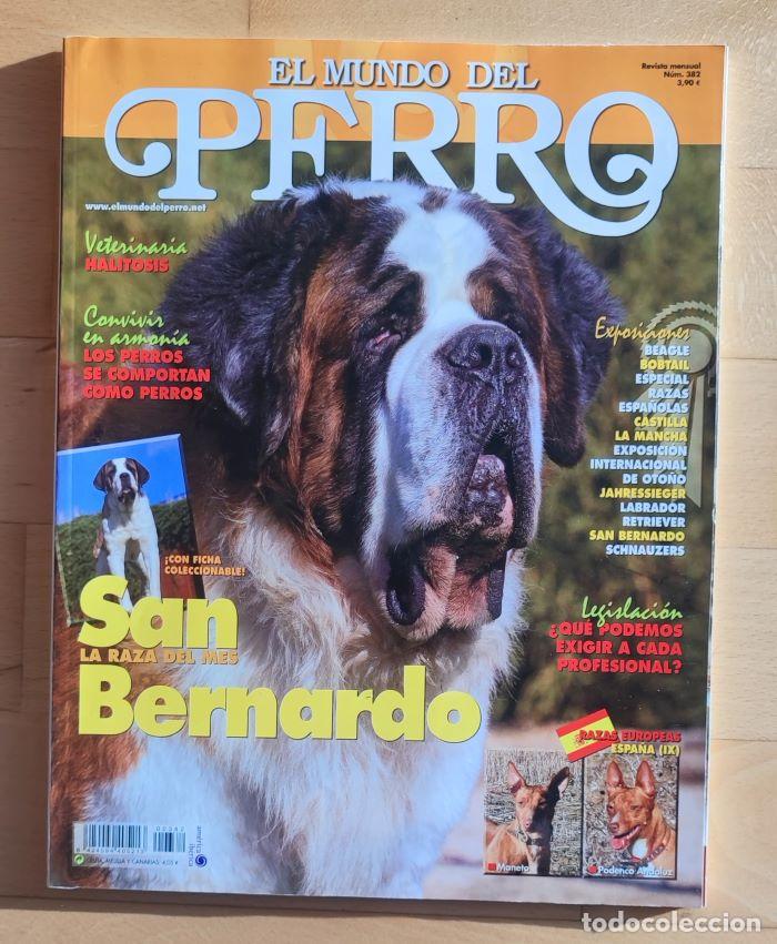 Coleccionismo de revistas y peri&oacute;dicos: REVISTA 'EL MUNDO DEL PERRO'. N&ordm; 382