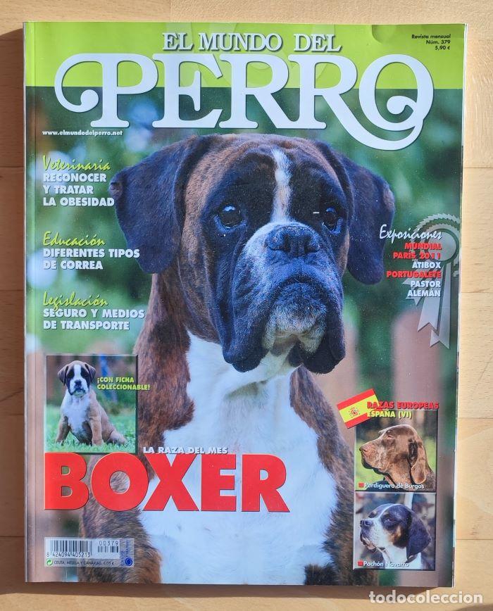 Coleccionismo de revistas y peri&oacute;dicos: REVISTA 'EL MUNDO DEL PERRO'. N&ordm; 379