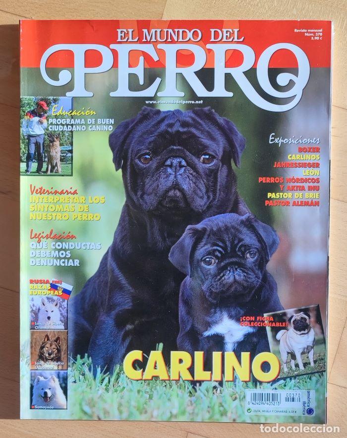 Coleccionismo de revistas y peri&oacute;dicos: REVISTA 'EL MUNDO DEL PERRO'. N&ordm; 370