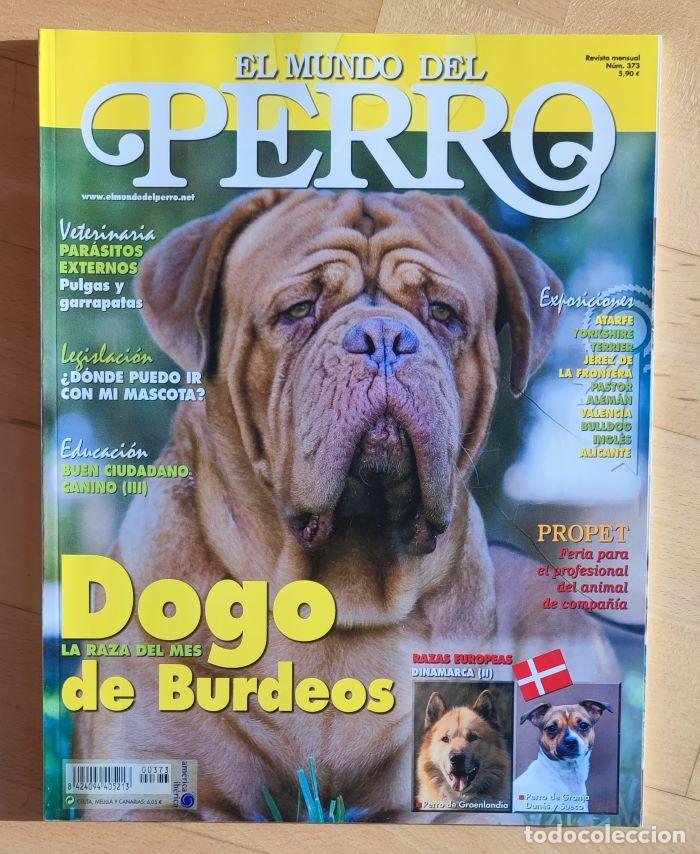 Coleccionismo de revistas y peri&oacute;dicos: REVISTA 'EL MUNDO DEL PERRO'. N&ordm; 373