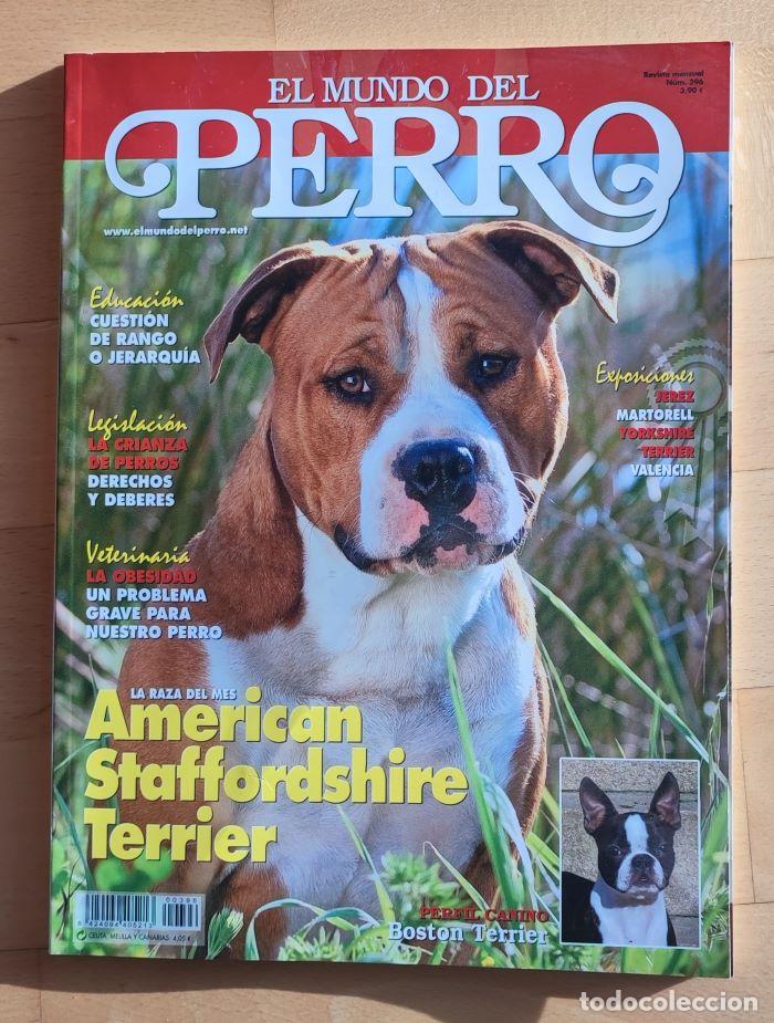 Coleccionismo de revistas y peri&oacute;dicos: REVISTA 'EL MUNDO DEL PERRO'. N&ordm; 396