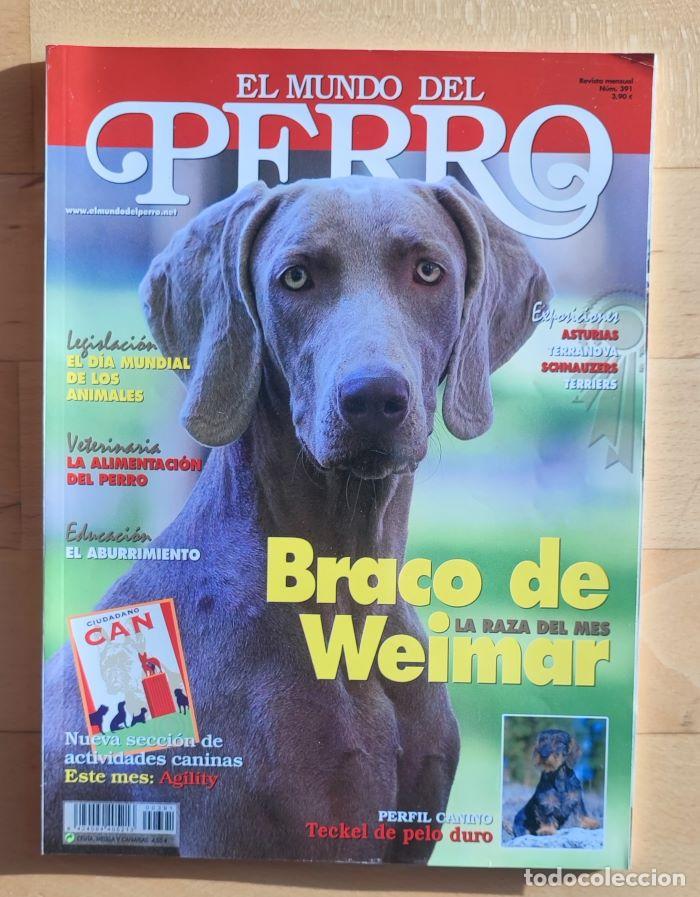 Coleccionismo de revistas y peri&oacute;dicos: REVISTA 'EL MUNDO DEL PERRO'. N&ordm; 391