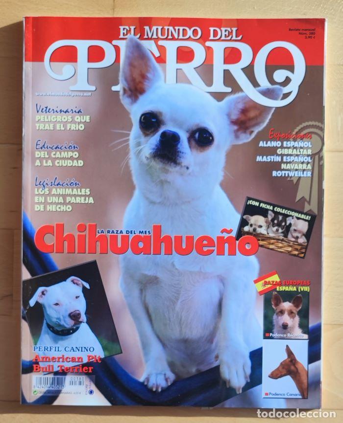 Coleccionismo de revistas y peri&oacute;dicos: REVISTA 'EL MUNDO DEL PERRO'. N&ordm; 380