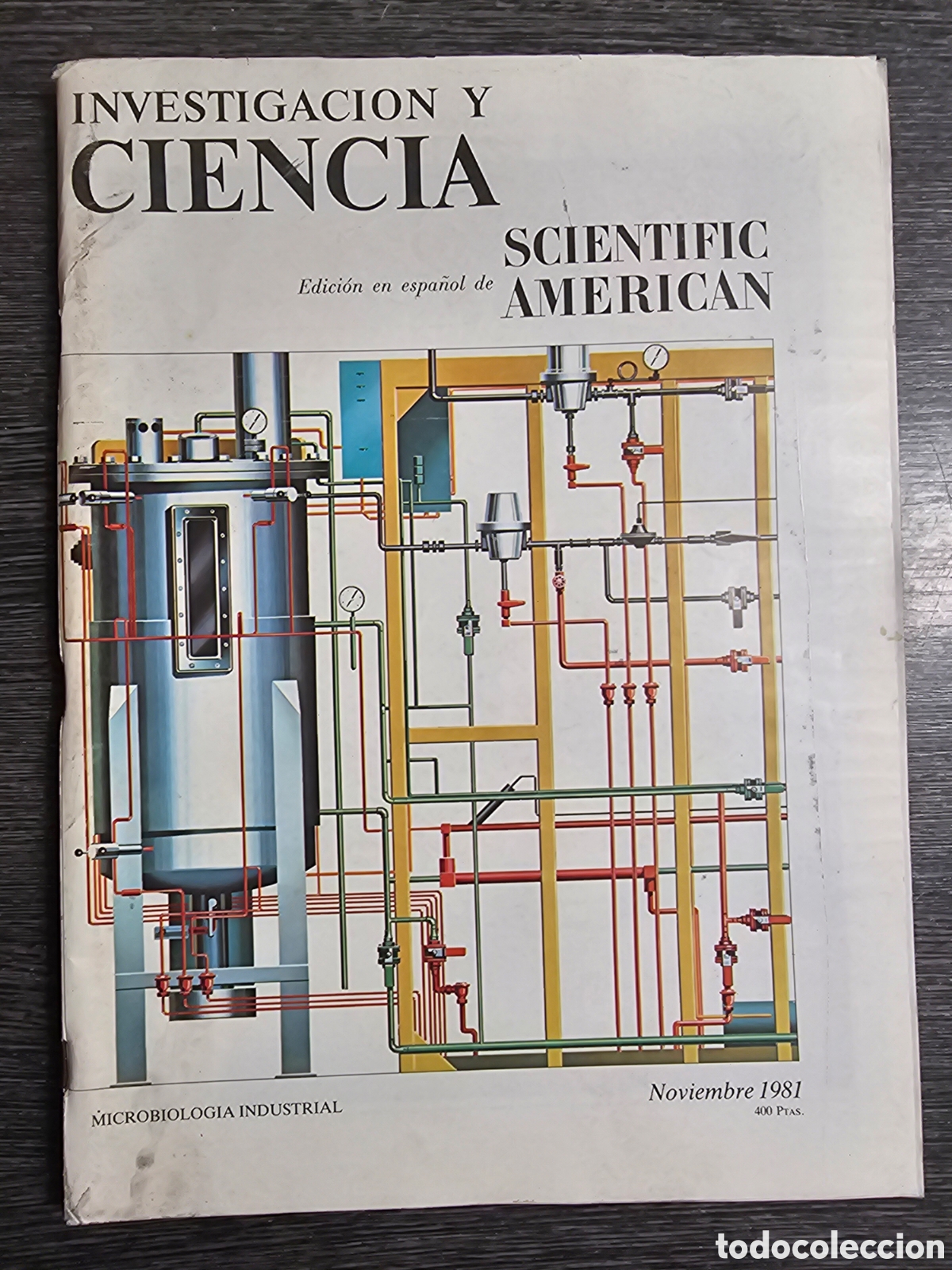 Collezionismo di Riviste e Giornali: INVESTIGACI&Oacute;N Y CIENCIA. SCIENTIFIC AMERICAN. N&ordm; 62 NOVIEMBRE 1981. VER SUMARIO