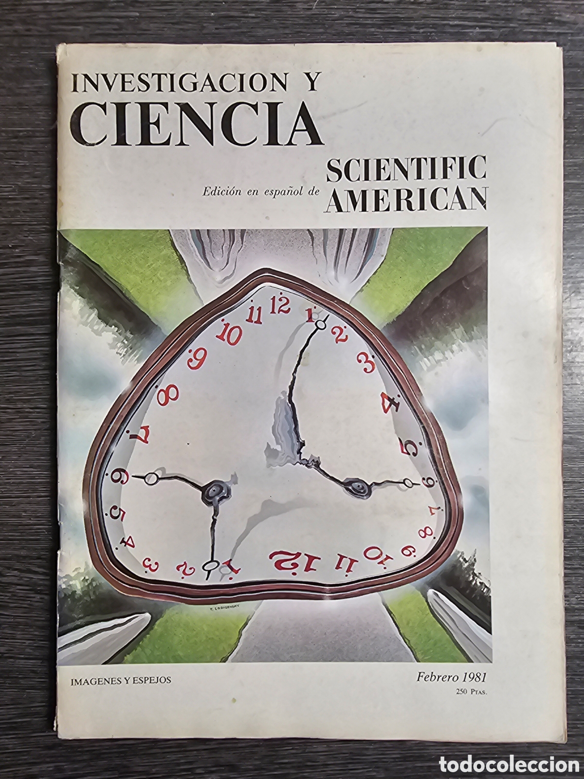 Sammeln von Zeitschriften und Zeitungen: INVESTIGACI&Oacute;N Y CIENCIA. SCIENTIFIC AMERICAN. N&ordm; 53 NOVIEMBRE 1981. VER SUMARIO