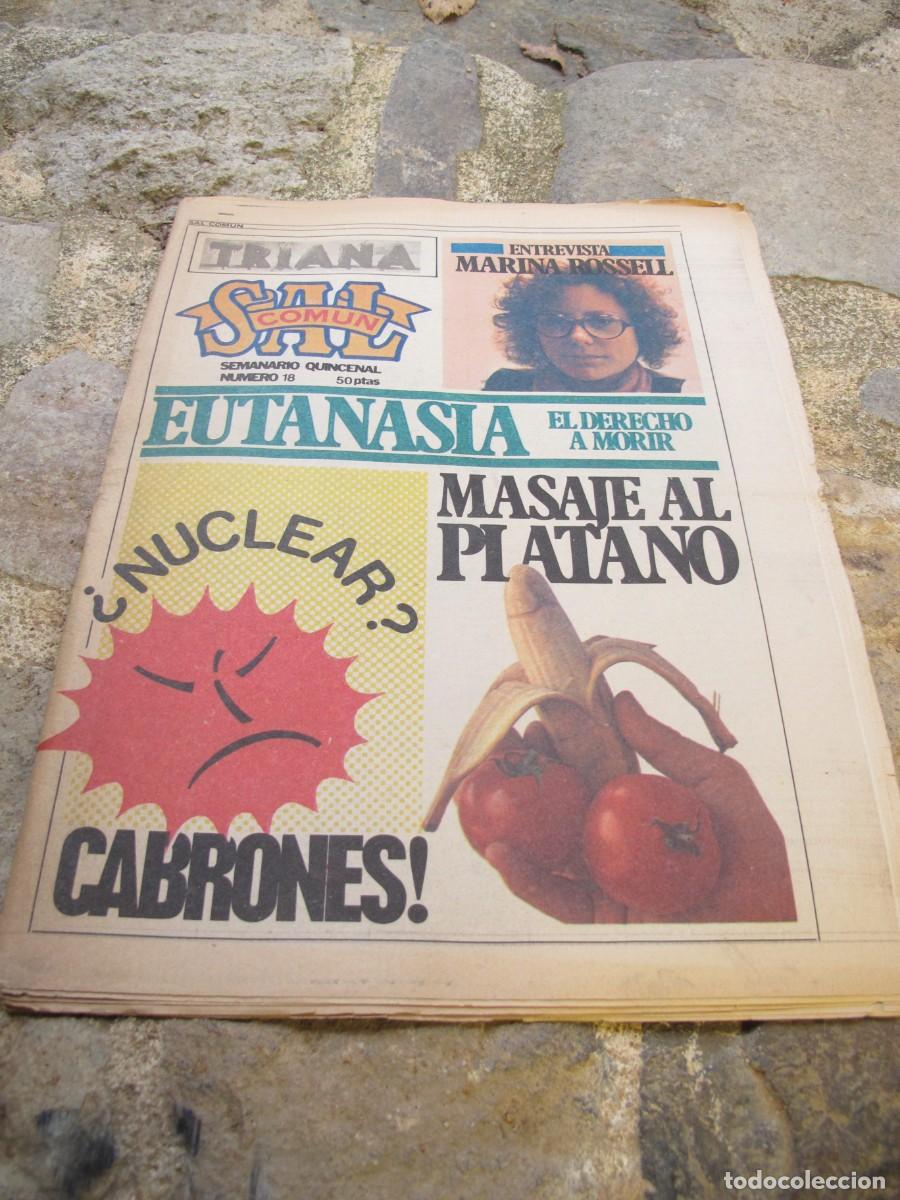 Coleccionismo de revistas y peri&oacute;dicos: SAL COMUN. SEMANARIO QUINCENAL N&ordm; 16 I 18