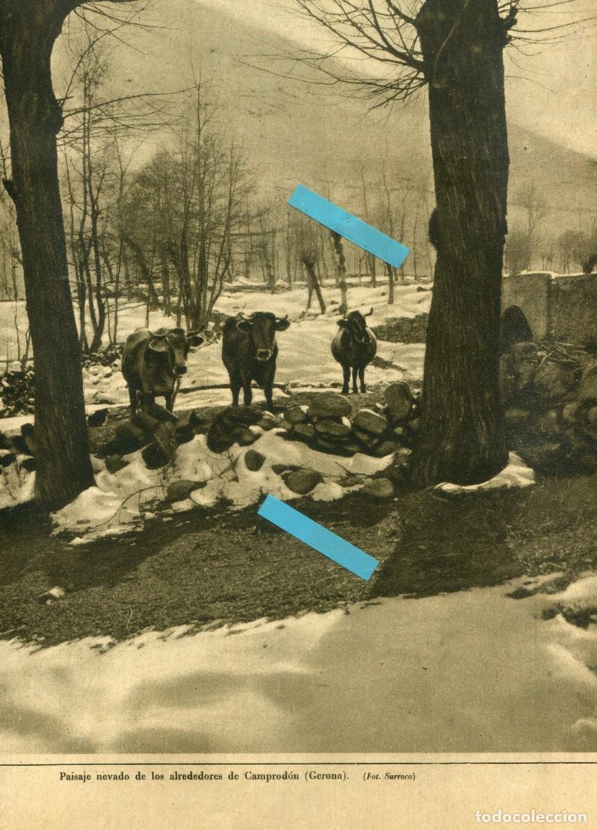 Collezionismo di Riviste e Giornali: VANGUARDIA A&Ntilde;O 1932 VACAS EN CAMPRODON ARQUITECTOS DE BARCELONA CONGRESO INTERNACIONAL DE URBANISMO