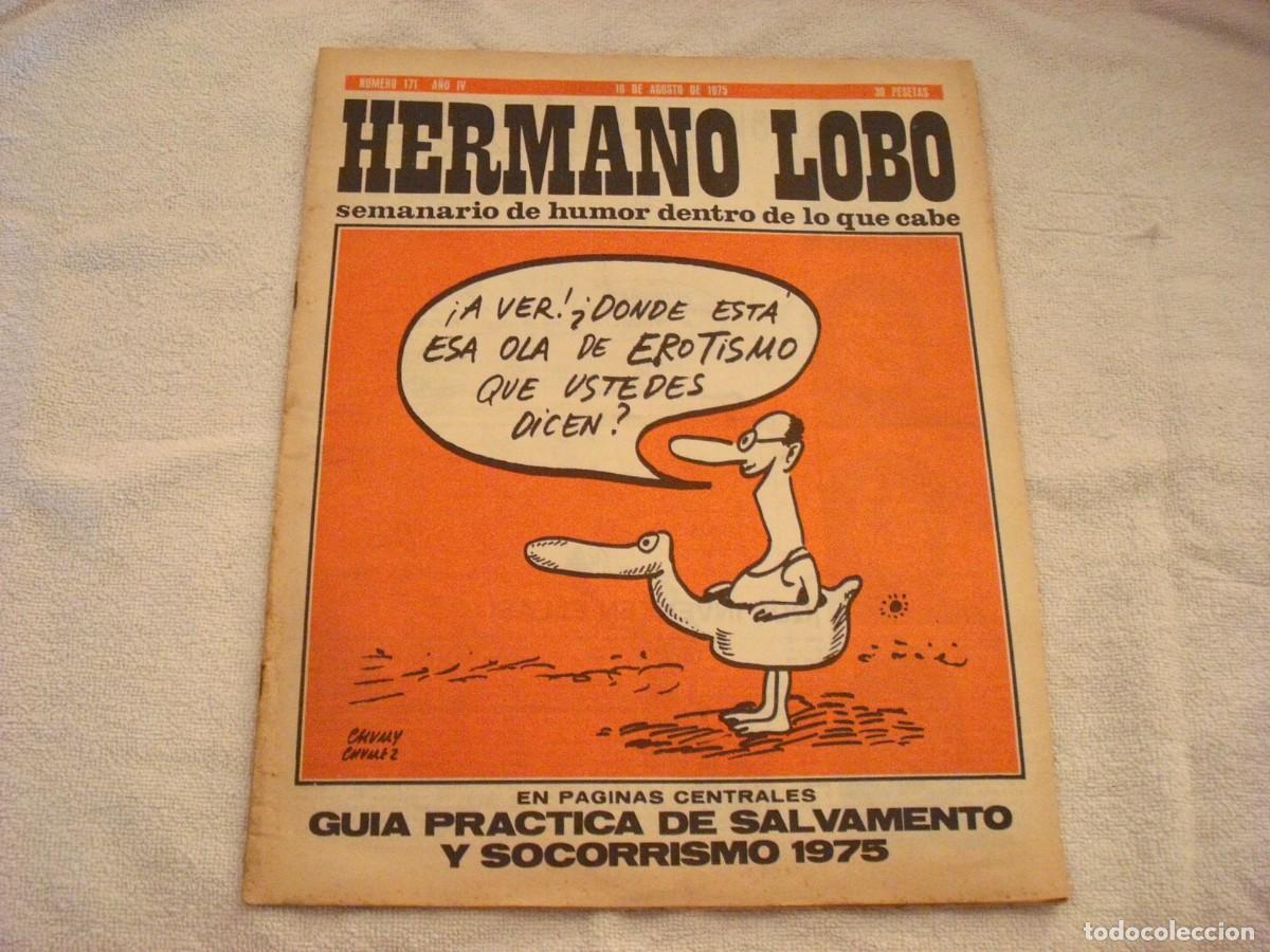 Colecionismo de Revistas e Jornais: HERMANO LOBO N. 171 , SEMANARIO DE HUMOR DENTRO DE LO QUE CABE . AGOSTO 1975