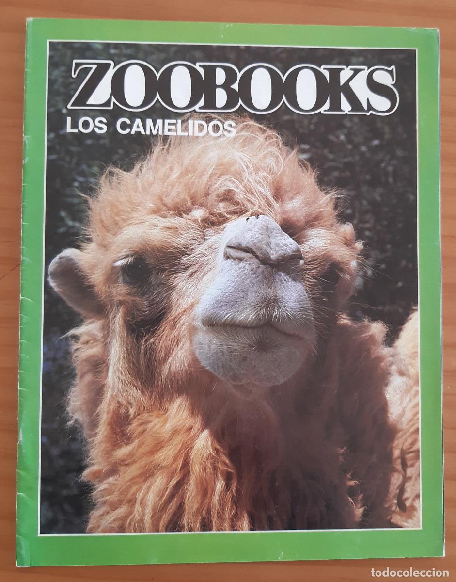 Collezionismo di Riviste e Giornali: ZOOBOOKS - LOS CAM&Eacute;LIDOS - A&Ntilde;O 1989 - 27,50 X 21,50 CMS. - MUY BUEN ESTADO