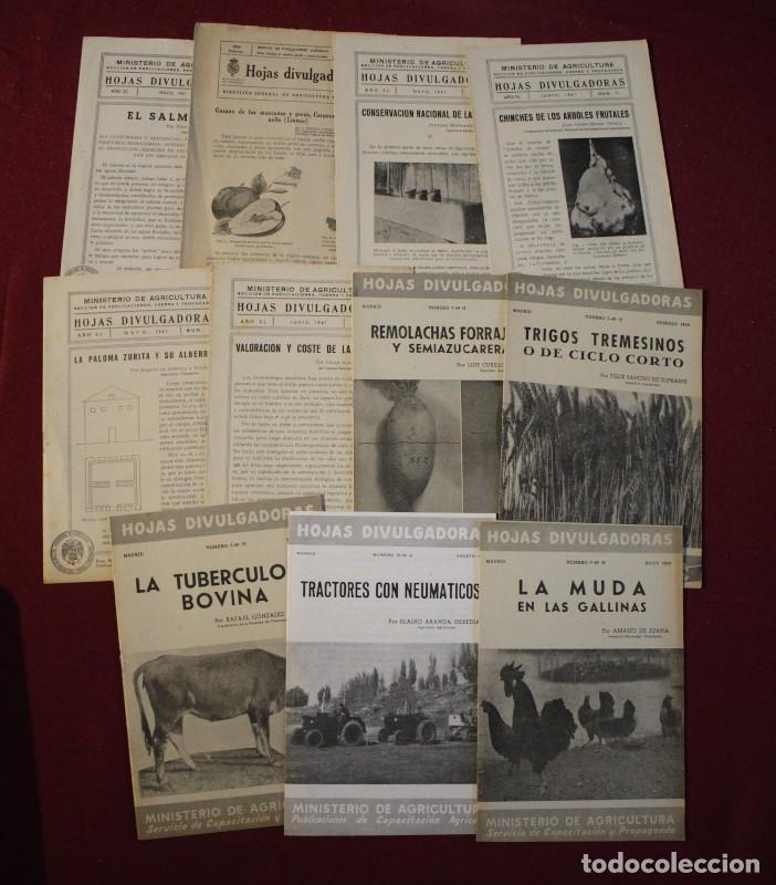 Collection Magazines and Newspapers: LOTE 11 NUMEROS HOJAS DIVULGADORAS MINISTERIO DE AGRICULTURA 1926 1947 1949 1956
