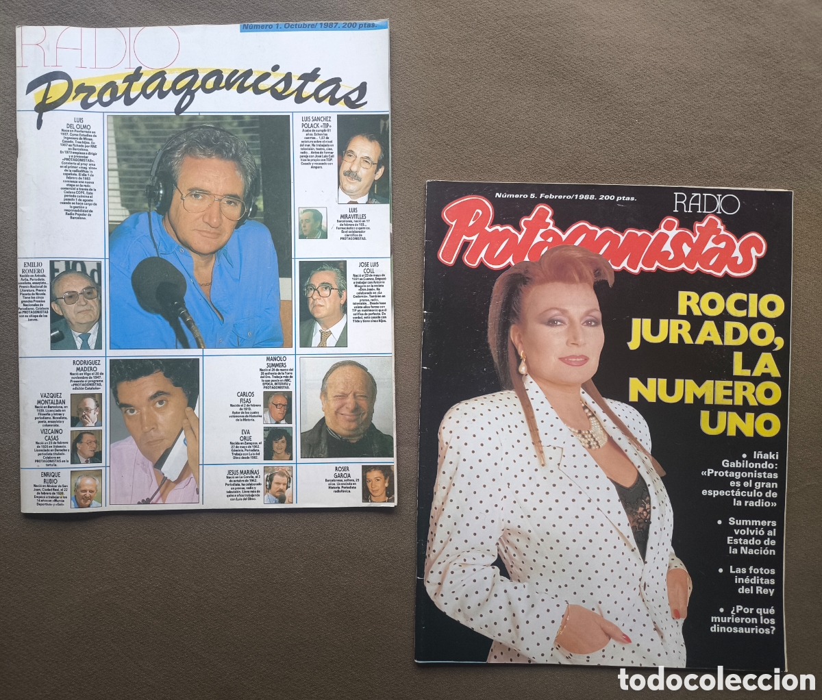 Coleccionismo de revistas y peri&oacute;dicos: LUIS DEL OLMO RADIO REVISTA PROTAGONISTAS 1987 - 1988