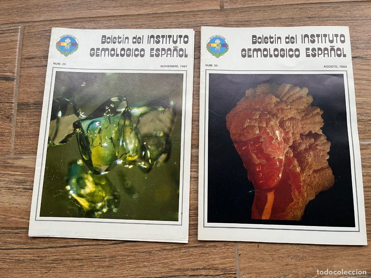 Collectionnisme de Revues et Journaux: 2 Boletines del Instituto Gemol&oacute;gico Espa&ntilde;ol - n&uacute;meros 29 y 30 - noviembre 1987 y agosto 1988