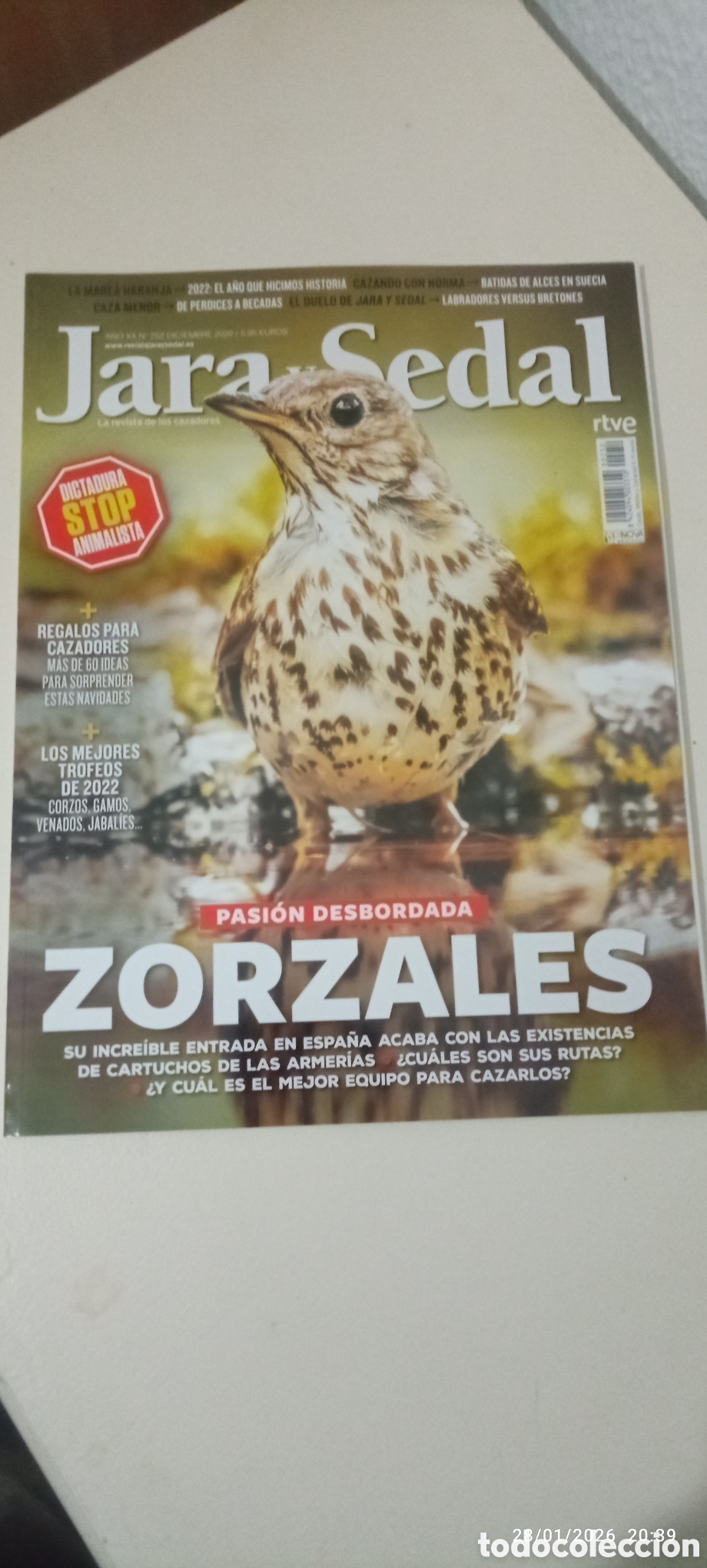Collezionismo di Riviste e Giornali: REVISTA JARA Y SEDAL ZORZALES