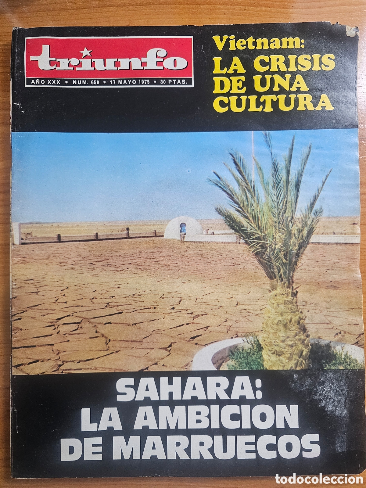 Coleccionismo de Revistas y Peri&oacute;dicos: REVISTA TRIUNFO 659 1975 SAHARA, &Aacute;LVAREZ DEL VAYO. FEDERICO GARCIA LORCA, VIETNAM