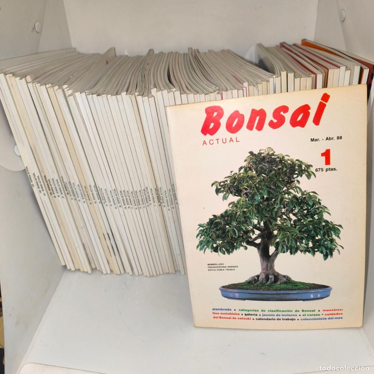 Sammeln von Zeitschriften und Zeitungen: Revista Bonsai Actual del n&ordm; 1 al 120 (a&ntilde;os 1988-2007) colecci&oacute;n completa
