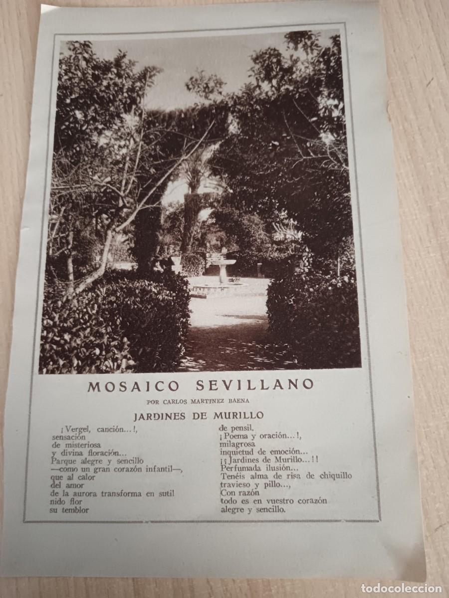 Collection Magazines and Newspapers: SEVILLA. JARDNES DE MURILLO