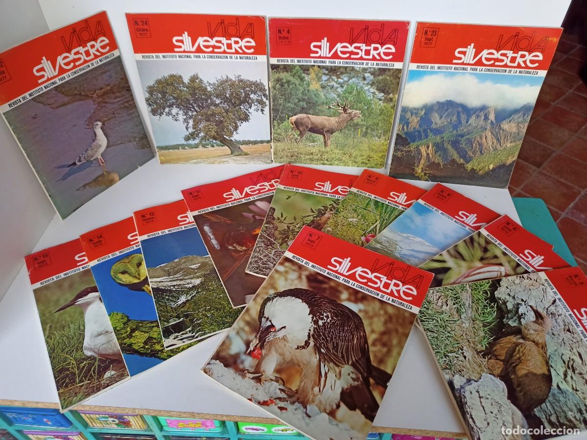 Coleccionismo de Revistas y Peri&oacute;dicos: Lote de revistas de Icona, Vida silvestre