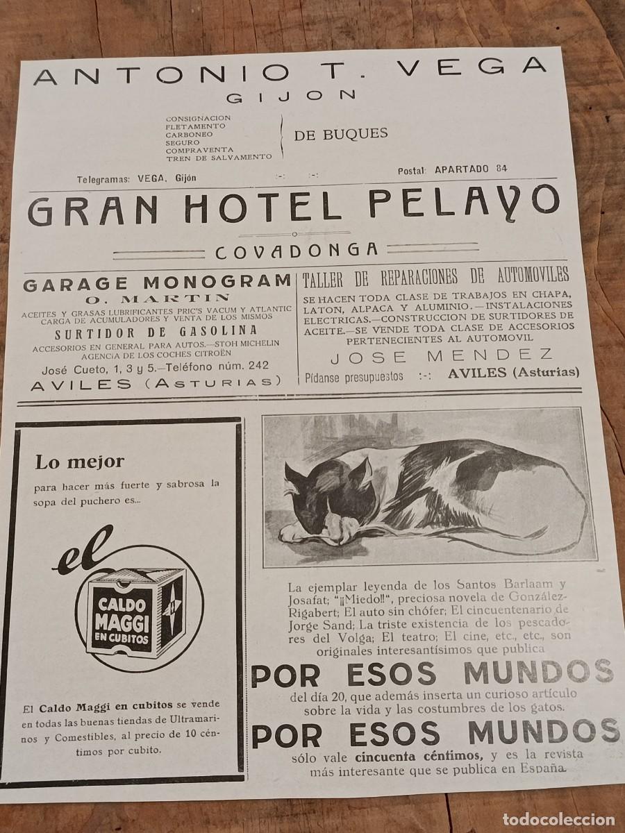 Coleccionismo de Revistas y Peri&oacute;dicos: Hoja de revista La Esfera, original circa 1921. Gran Hotel Pelayo, Covadonga. Antonio T Vega, Gijon