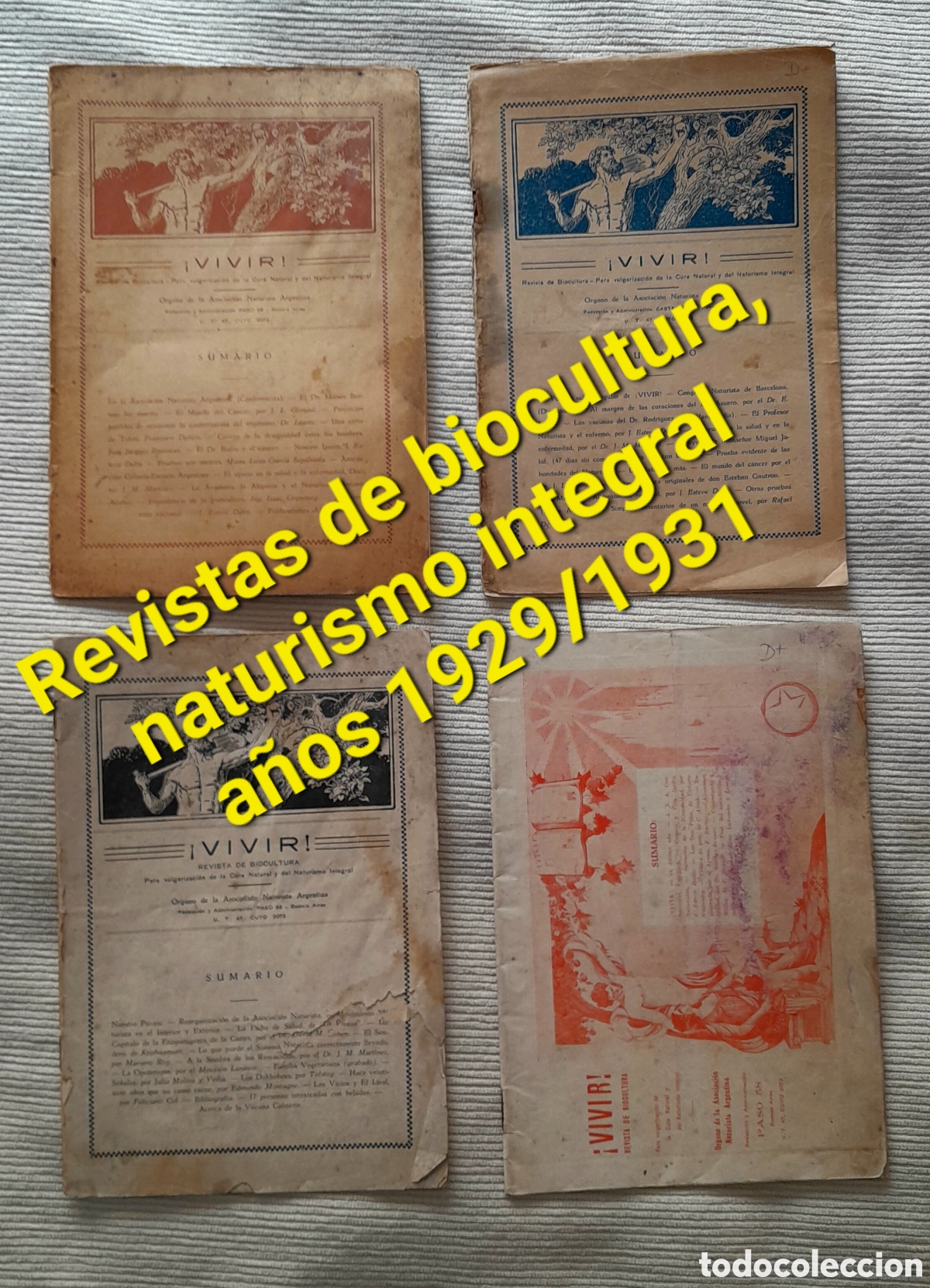Coleccionismo de Revistas y Peri&oacute;dicos: &iexcl;Vivir! Revista de biocultura, cura natural, naturismo integral. Argentina. A&ntilde;os 1929/30/31 LOTE x 4