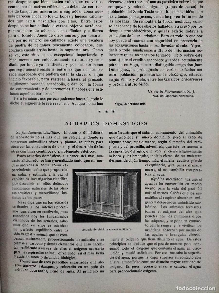 Colecionismo de Revistas e Jornais: ACUARIOS DOMESTICOS CONSERVACION FUNCIONAMIENTO REVISTA A&Ntilde;O 1920