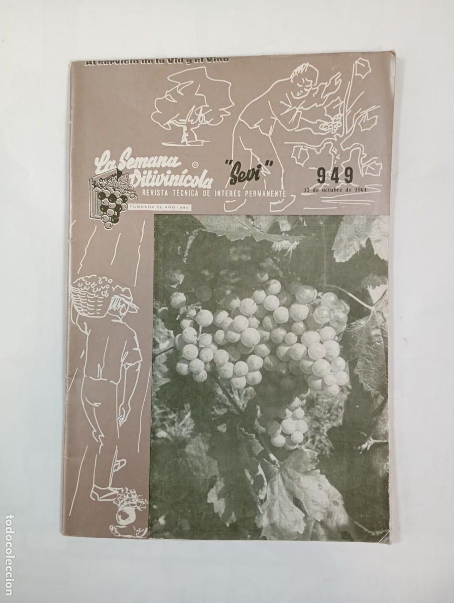 Coleccionismo de Revistas y Peri&oacute;dicos: REVISTA LA SEMANA VITIVIN&Iacute;COLA N&ordm; 949. 17 OCTUBRE 1964. TDKR34
