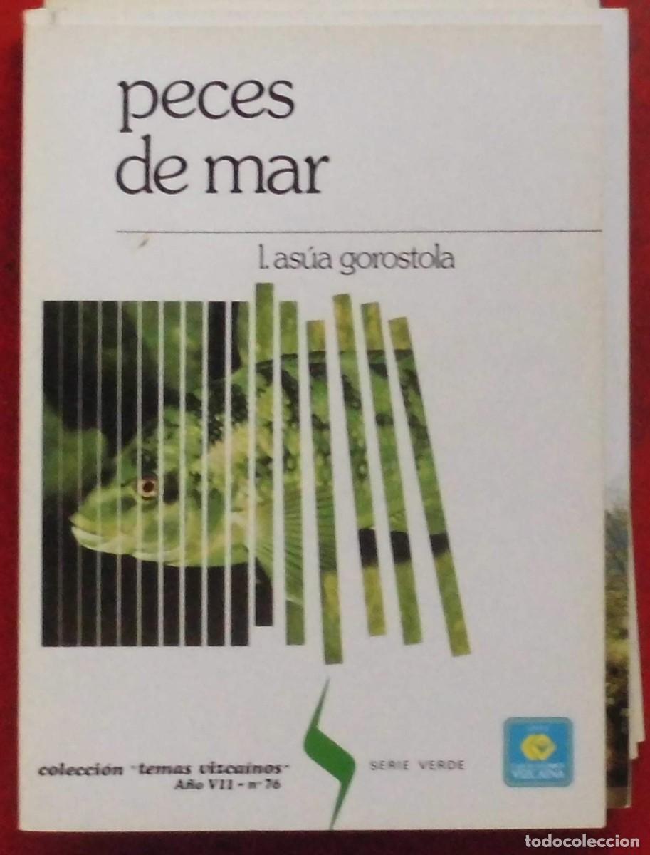 Collezionismo di Riviste e Giornali: TEMAS VIZCA&Iacute;NOS. PECES EN EL MAR