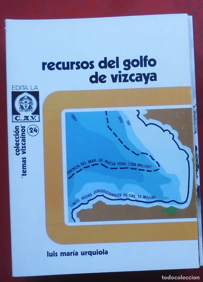 Collezionismo di Riviste e Giornali: TEMAS VIZCA&Iacute;NOS. RECURSOS DEL GOLFO DE VIZCAYA