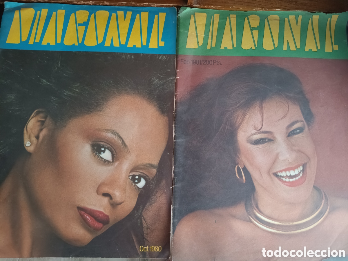 Coleccionismo de Revistas y Peri&oacute;dicos: LOTE 2 REVISTAS DIAGONAL BARCELONA 1980-81 ANA OBREG&Oacute;N FOTGR. TONI RIERA, DIANA ROSS- ARTE- DISE&Ntilde;O