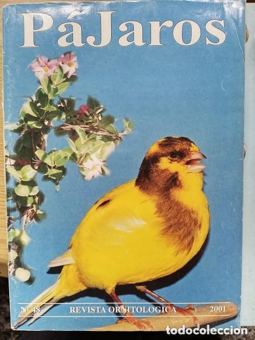 Colecionismo de Revistas e Jornais: PAJAROS ORNITOLOGICA - N 48 -REVISTA