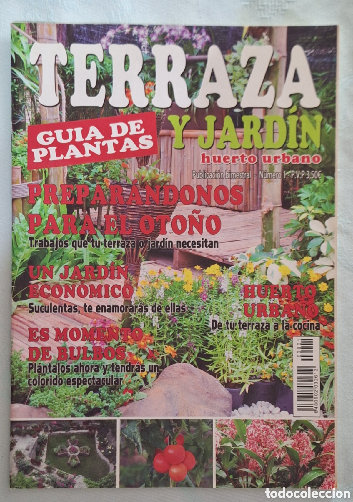 Coleccionismo de Revistas y Peri&oacute;dicos: Revista Terraza y Jard&iacute;n n&deg;1