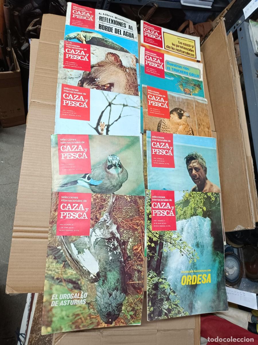 Collezionismo di Riviste e Giornali: LOTE 10 ANTIGUAS REVISTAS CAZA Y PESCA, 1971 -P16