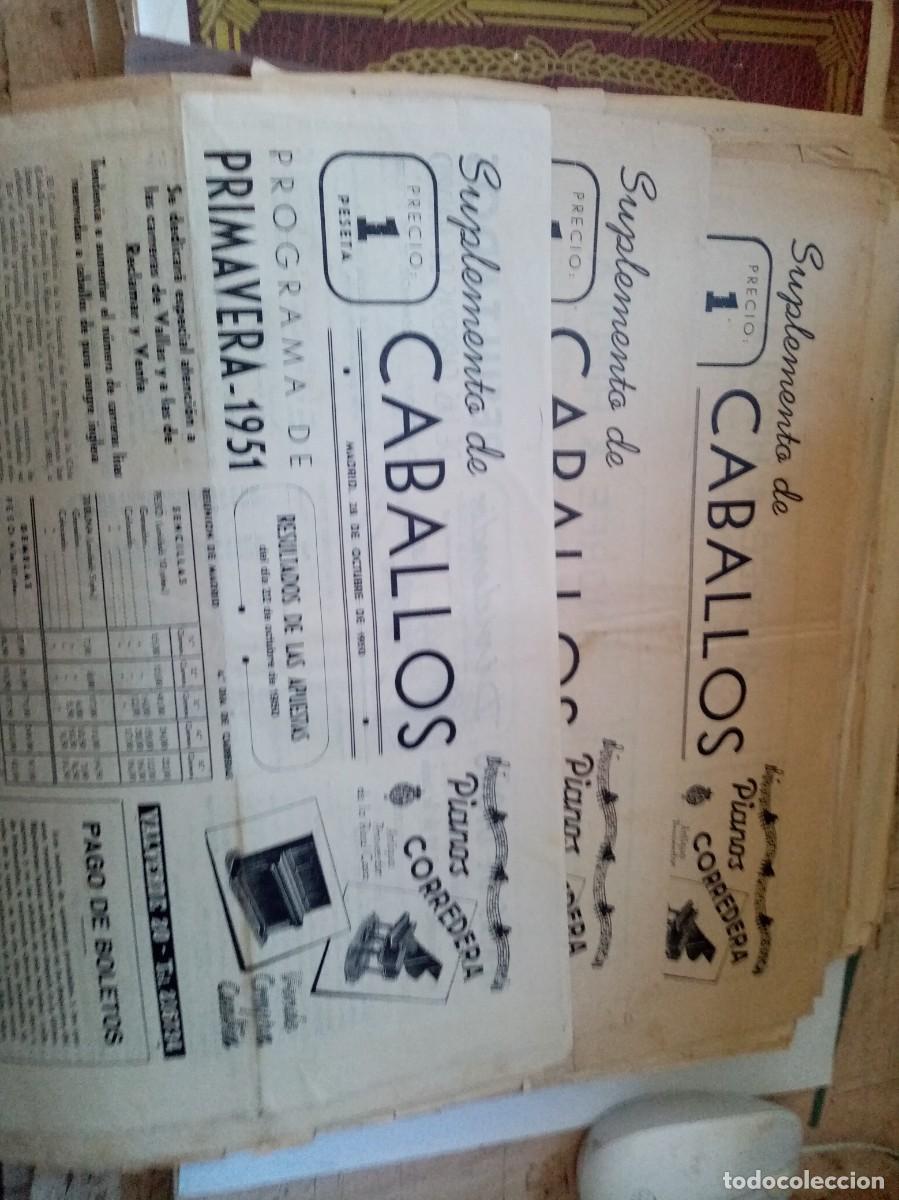 Coleccionismo de Revistas y Peri&oacute;dicos: LOTE DE 42 SUPLEMENTO DE CABALLOS A&Ntilde;OS 1950 --51--52