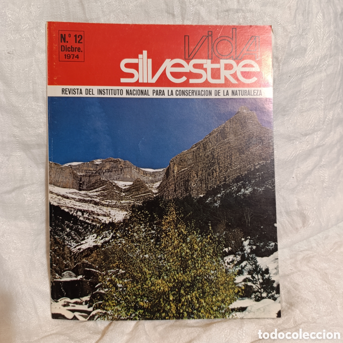 Coleccionismo de Revistas y Peri&oacute;dicos: Revista &rdquo;Vida Silvestre&rdquo;, publicada por ICONA,1974.