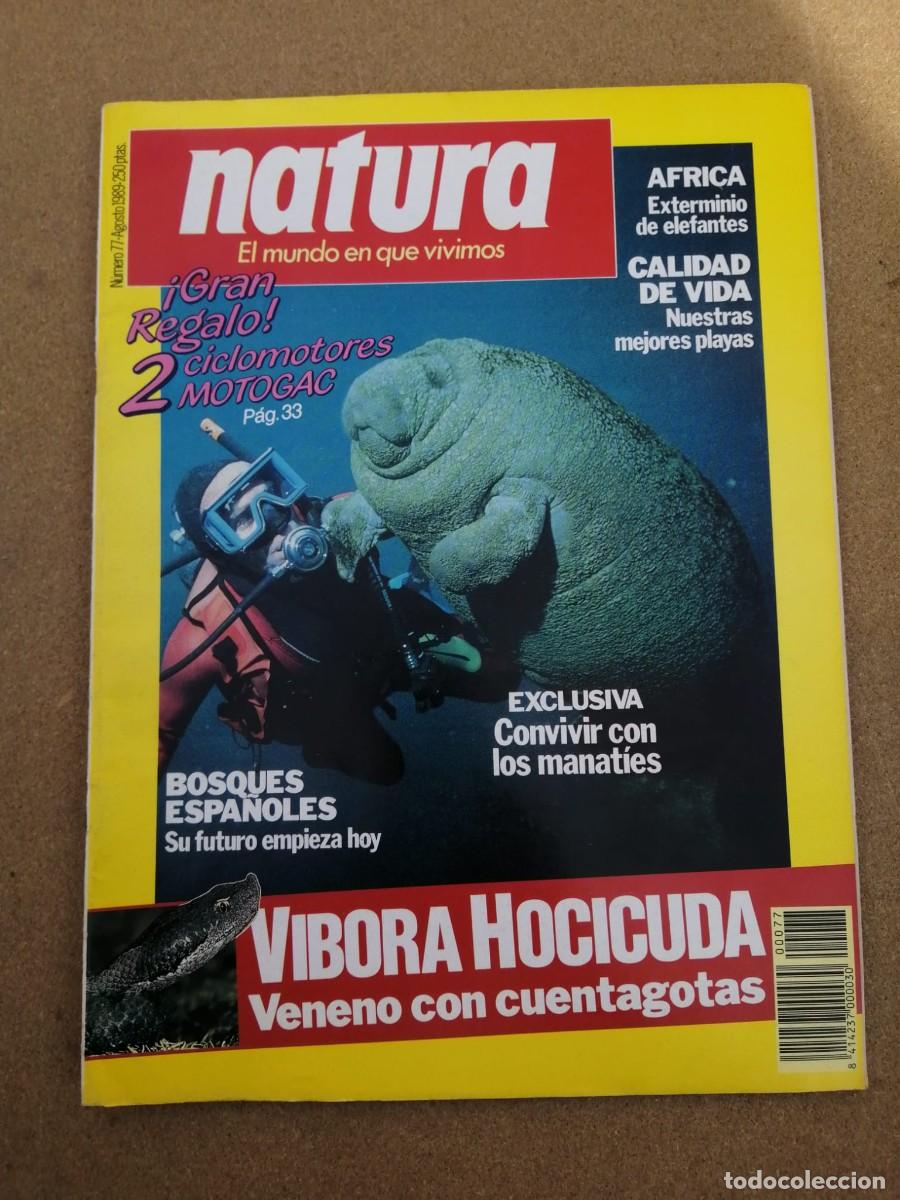Sammeln von Zeitschriften und Zeitungen: REVISTA NATURA (NUMERO 77) CONVIVIR CON MANATIES -VIBORA HOCICUDA - BOSQUES ESPA&Ntilde;OLES -...