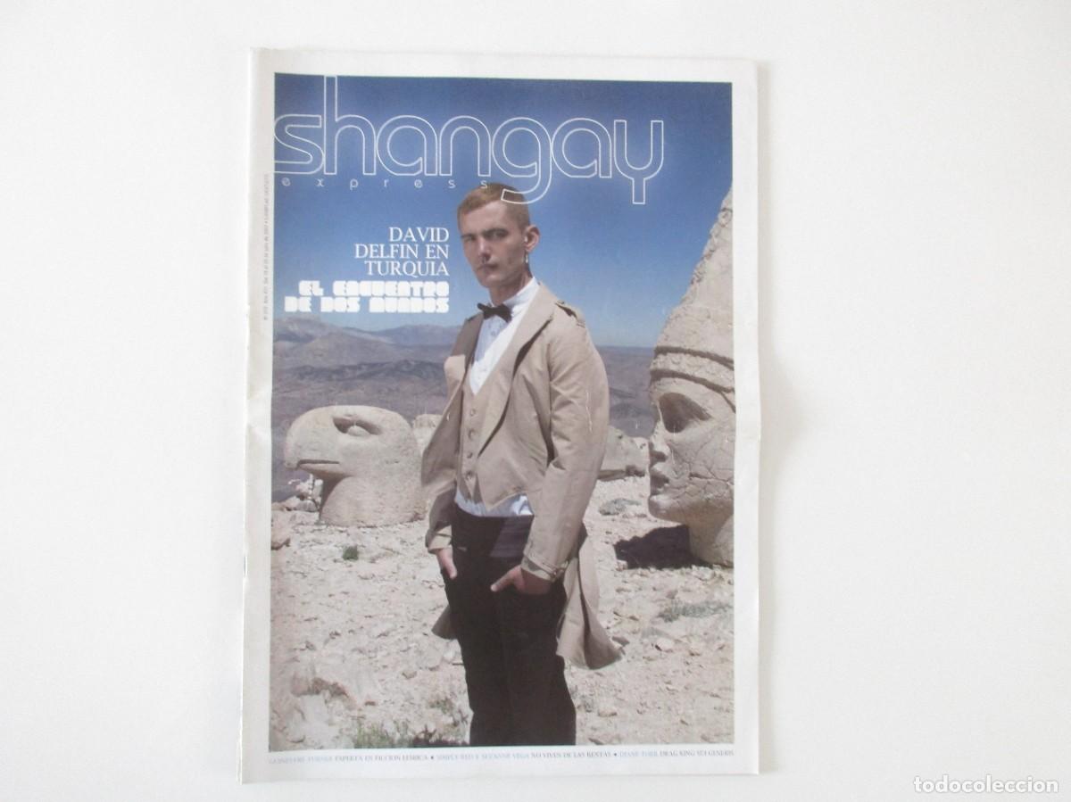 Coleccionismo de Revistas y Peri&oacute;dicos: SHANGAY N&ordm; 312 - DAVID DELFIN - SIMPLY RED - SUZANNE VEGA - DIANE TORR - REVISTA GAY 2007 - LGTBI