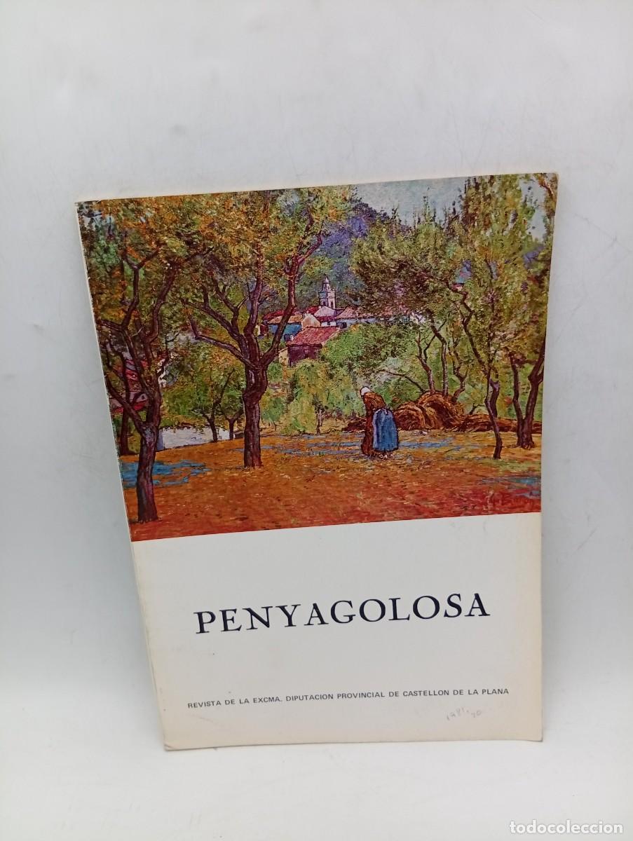Coleccionismo de Revistas y Peri&oacute;dicos: PENYAGOLOSA. REVISTA DE LA EXCMA. DIPUTACION PROVINCIAL DE CASTELLON. N&ordm; 20. A&Ntilde;O 1981. VER FOTOS.