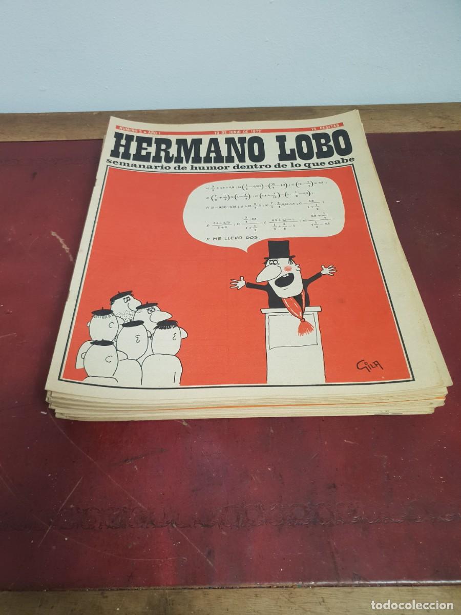 Coleccionismo de revistas y peri&oacute;dicos: HERMANO LOBO LOTE DE 25 REVISTAS A&Ntilde;O 1972