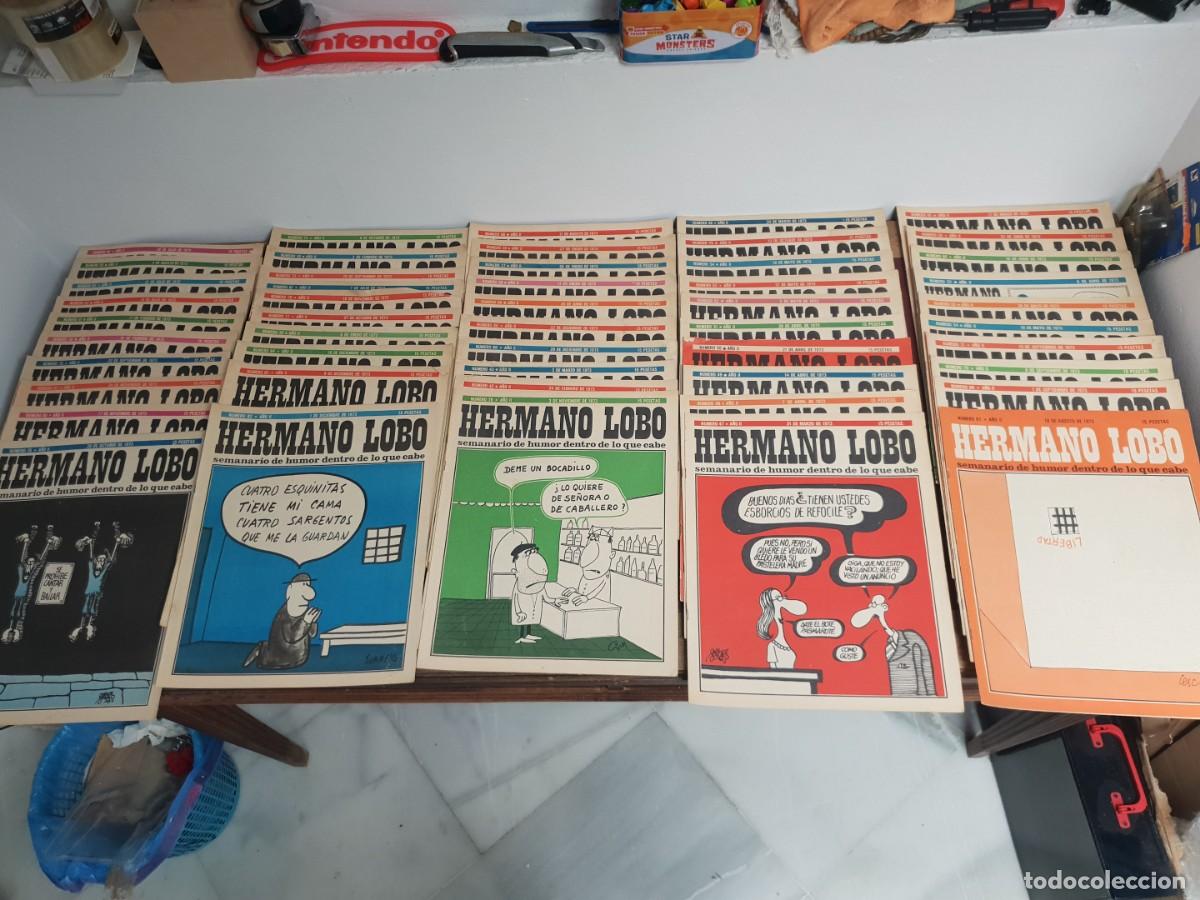 Coleccionismo de revistas y peri&oacute;dicos: HERMANO LOBO LOTE DE 50 REVISTAS A&Ntilde;O 1973