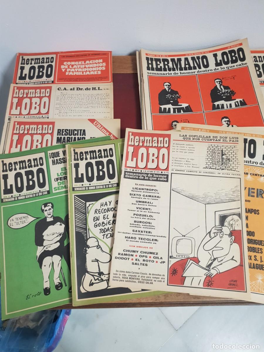 Coleccionismo de Revistas y Peri&oacute;dicos: HERMANO LOBO LOTE DE 49 REVISTAS A&Ntilde;O 1975