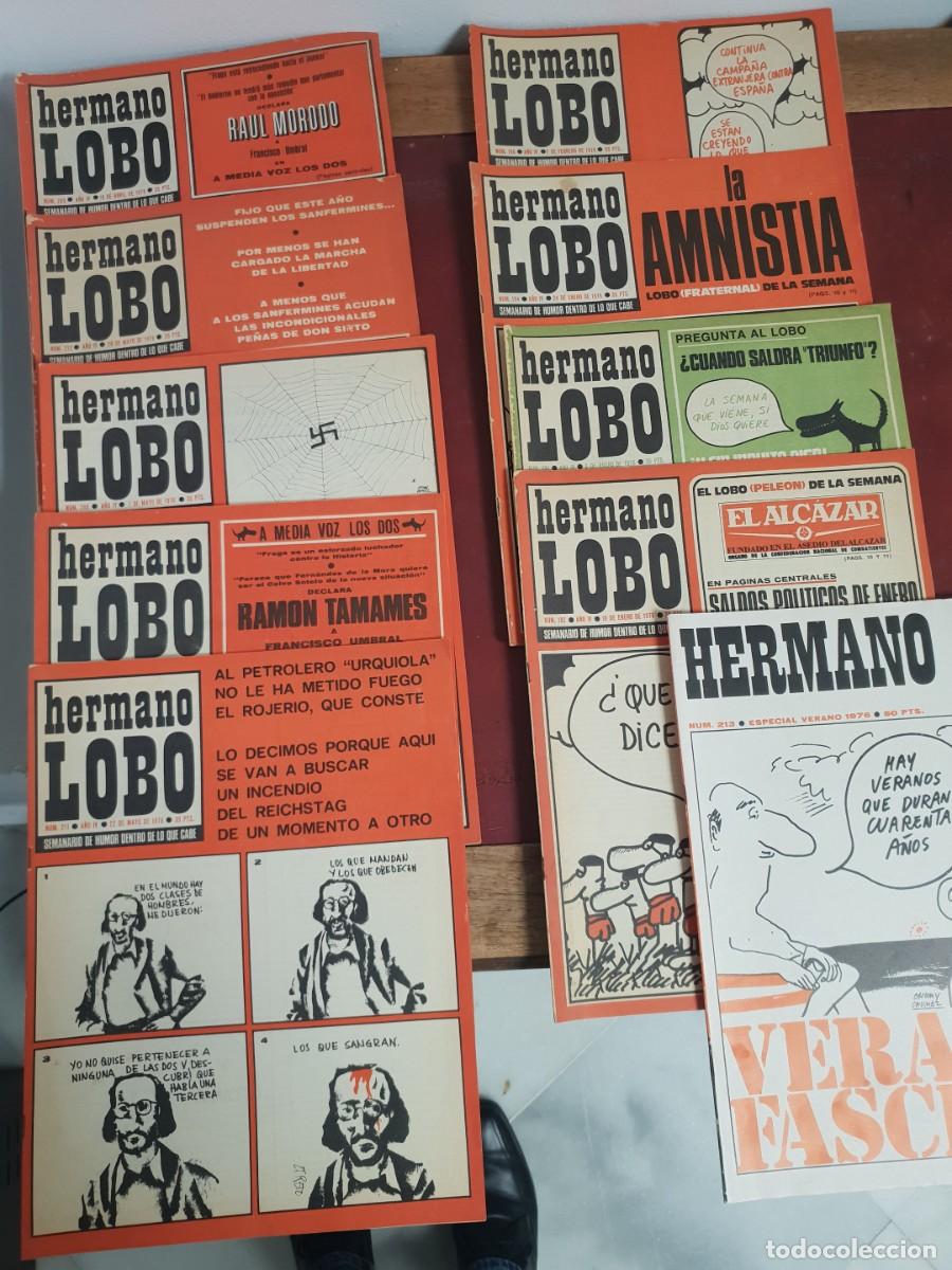 Coleccionismo de Revistas y Peri&oacute;dicos: HERMANO LOBO LOTE DE 22 REVISTAS A&Ntilde;O 1976