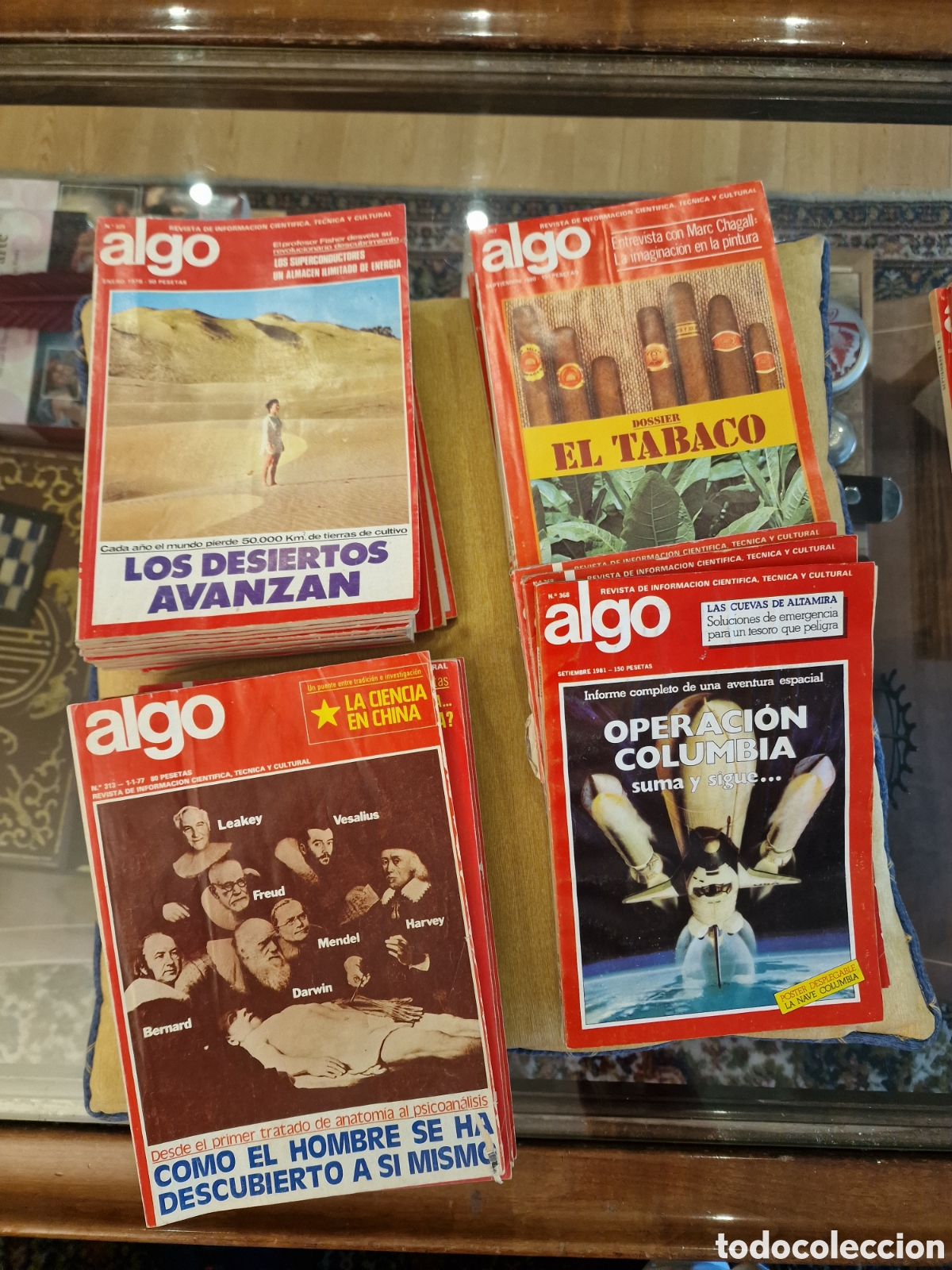 Collection Magazines and Newspapers: Revista Algo. Revista cient&iacute;fica, t&eacute;cnica y cultural