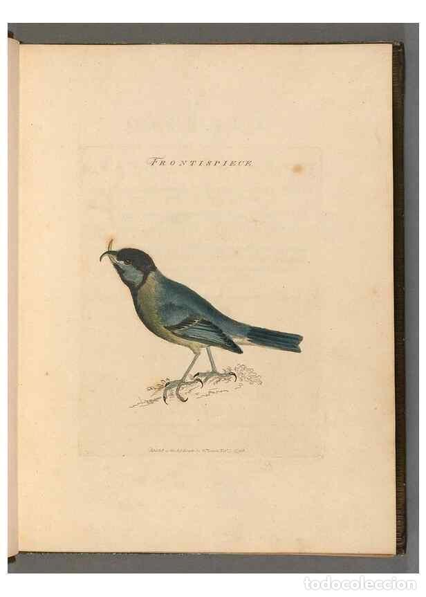 Colecionismo de Revistas e Jornais: Reproducci&oacute;n/Reproduction 49054502182: The birds of Great Britain,. 1795-1801.. - Lewin, William,