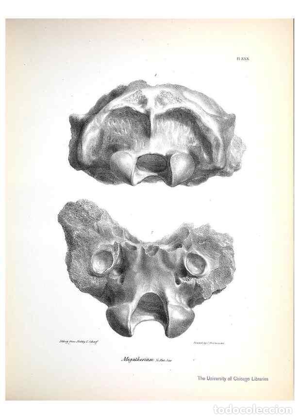 Collection Magazines and Newspapers: Reproducci&oacute;n/Reproduction 8386014265: The zoology of the voyage of H.M.S. Beagle .... London,Smith,