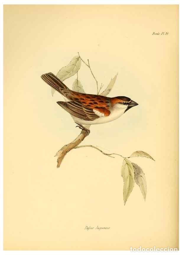 Collectionnisme de Revues et Journaux: Reproducci&oacute;n/Reproduction 8429525253: The zoology of the voyage of H.M.S. Beagle .... London,Smith,