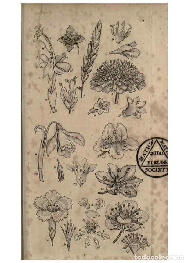 Collectionnisme de Revues et Journaux: Reproducci&oacute;n/Reproduction 8447398551: A grammar of botany,. London,Longman,1821. - Smith, James Edwa