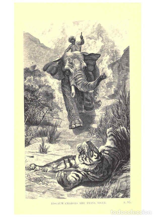 Collectionnisme de Revues et Journaux: Reproducci&oacute;n/Reproduction 6505681595: Wild beasts and their ways London,Macmillan and co.,1890 - Sam