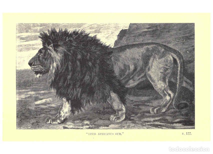 Collectionnisme de Revues et Journaux: Reproducci&oacute;n/Reproduction 6505684585: Wild beasts and their ways London,Macmillan and co.,1890 - Sam