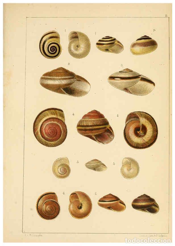 Collectionnisme de Revues et Journaux: Reproducci&oacute;n/Reproduction 6472360421: Die Preussische expedition nach Ost-Asien. bd.2. Berlin :K&ouml;nig