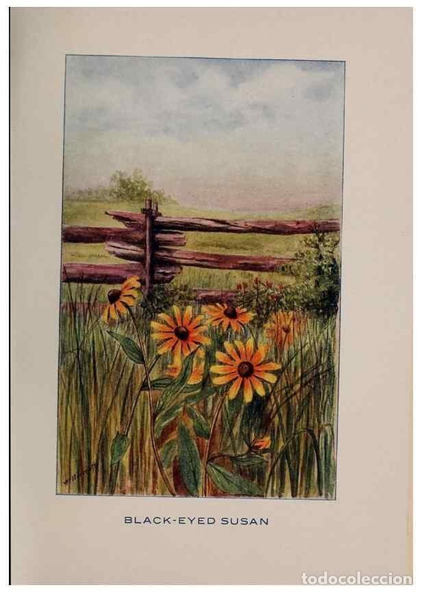 Collection Magazines and Newspapers: Reproducci&oacute;n/Reproduction 7348217304: Fifty flower friends with familiar faces,. Boston,Lothrop, Lee