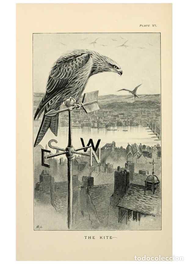 Collection Magazines and Newspapers: Reproducci&oacute;n/Reproduction 7095983697: Lost and vanishing birds;. London,J. Macqueen,1898. - Dixon, C